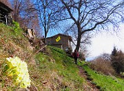 31 Passiamo sopra Sonzogno (1108 m)